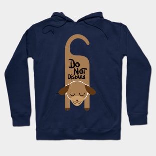 Do Not Disturb Dog Hoodie